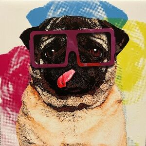 Colorful Pug canvas wall art